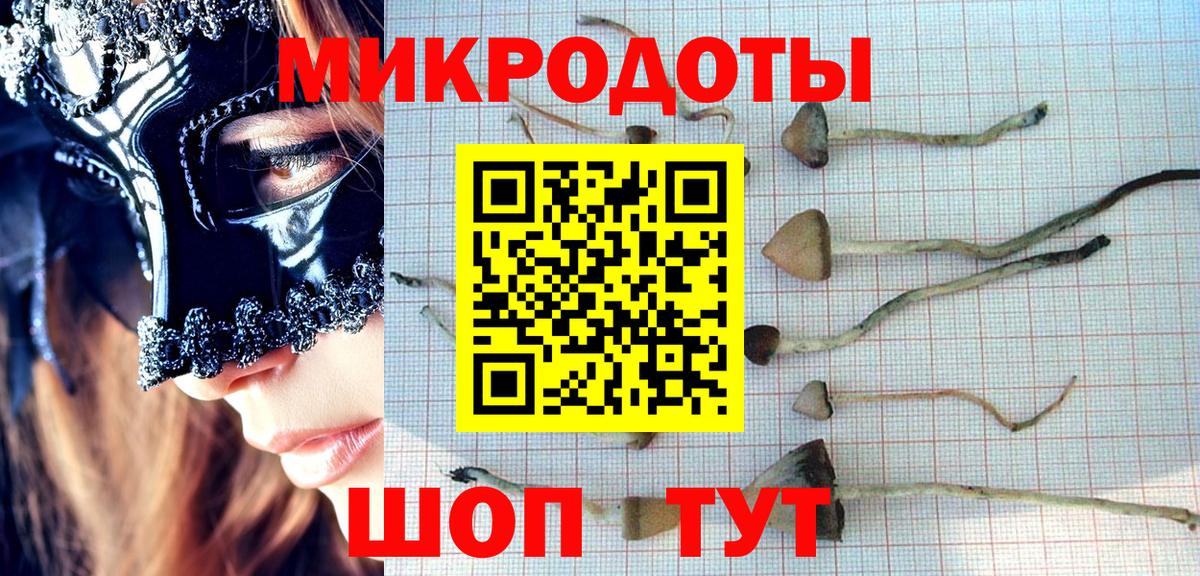 Псилоцибиновые грибы GOLDEN TEACHER Тамбов