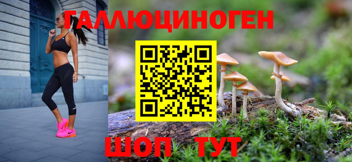 Тамбов  Галлюциногенные грибы Cubensis  Вход с VPN 