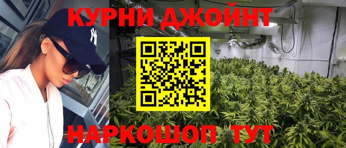 Бошки марихуана Ganja  Шишки марихуана план  Вход с VPN  Бошки Шишки семена  Тамбов  Шишки марихуана планчик 
